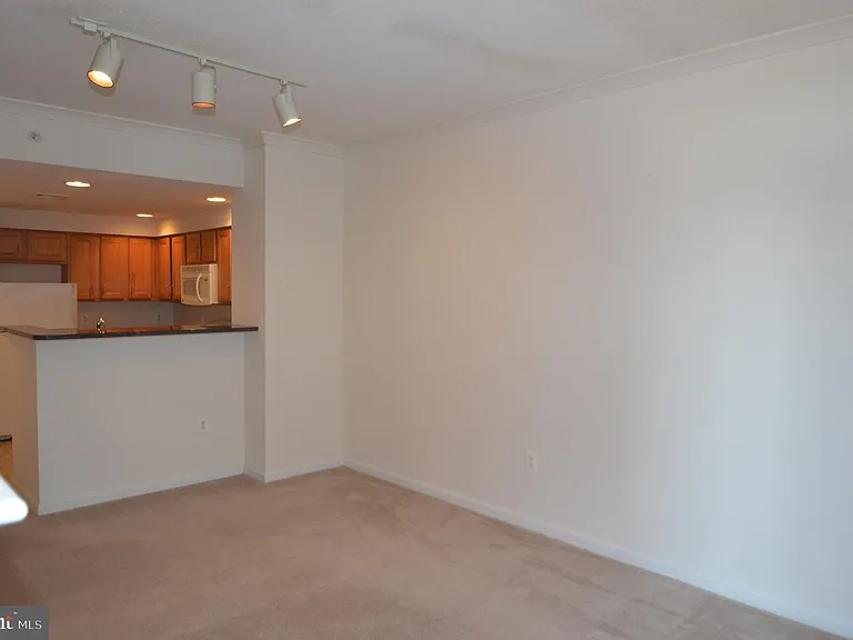 4490 Market Commons Dr #412 — Photo 10