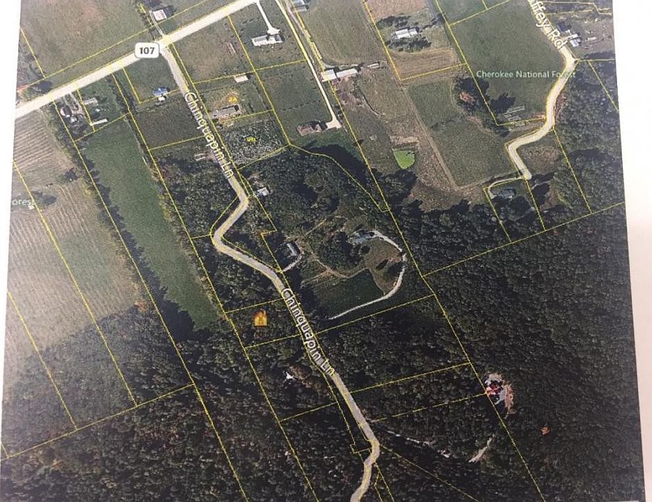2nd image of 219 Chinquapin Ln