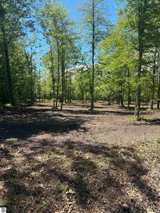 11560 S Lakeside Trl, Shepherd, MI, 48883