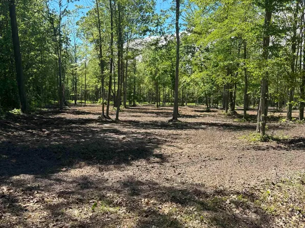 11560 S Lakeside Trl, Shepherd, MI 48883