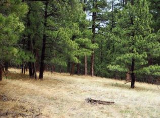 22262 Bobcat Ct, Elbert, CO 80106