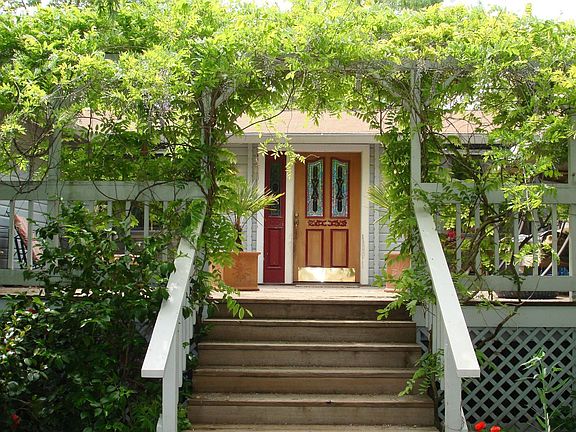 Wisteria & Custom door