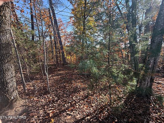 3rd image of Scenic Woods Way