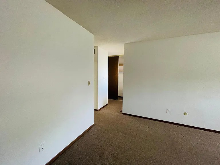 1811 Tawny Ash Dr — Photo 19