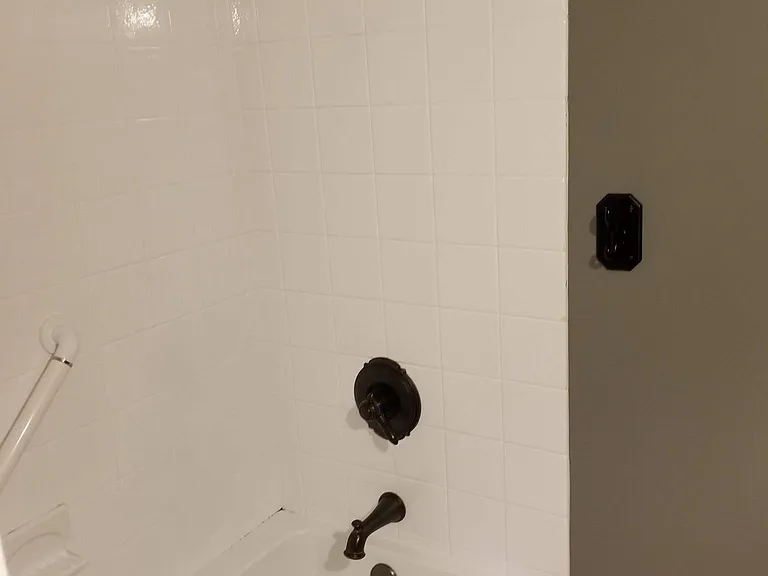 Hall Bathroom Shower