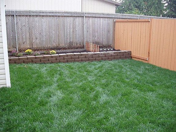 Back yard