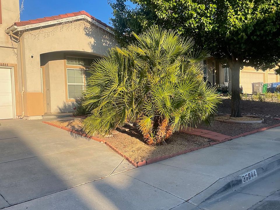 2nd image of 36844 Cristallo Ct