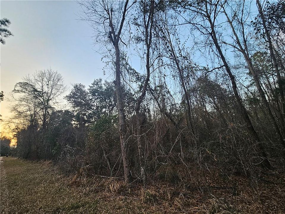 2nd image of 0 Lee Rd