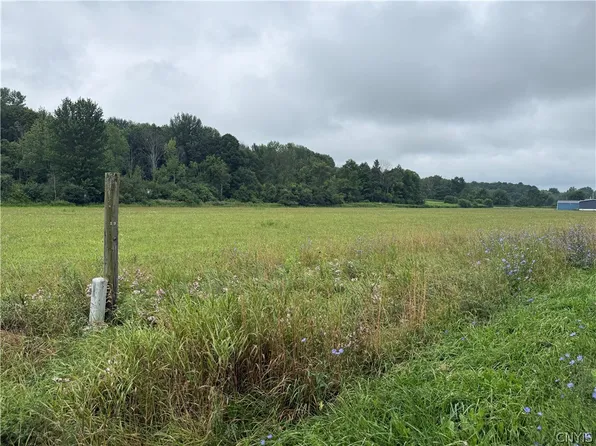 0 County Route 91, Adams, NY 13605