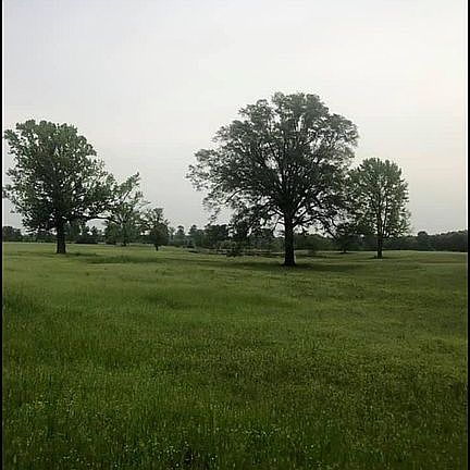 4th image of 3060 Fm 1701