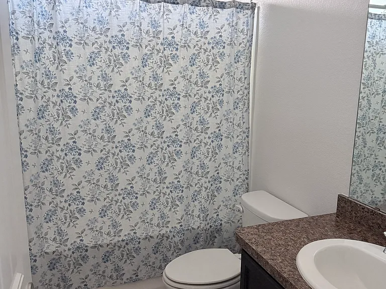 Guest bathroom