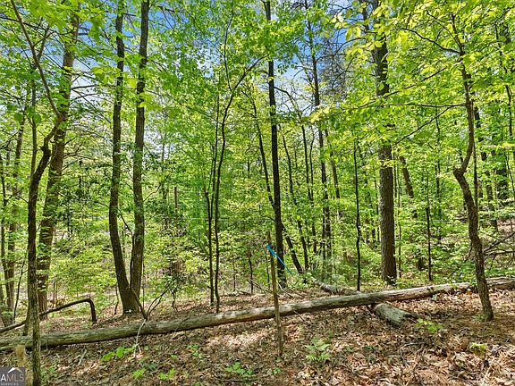 4th image of 0 Monroe Ridge Rd