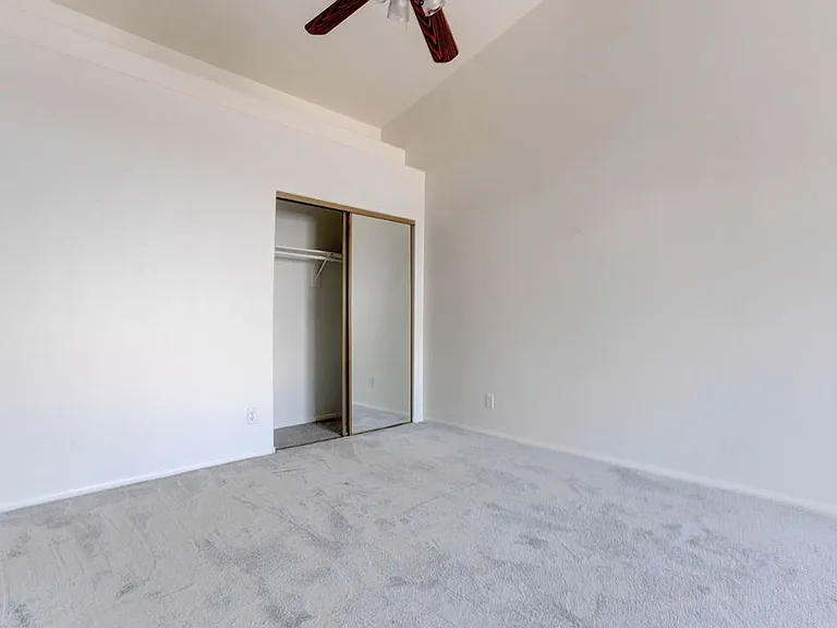 4579 Canna Dr — Photo 19