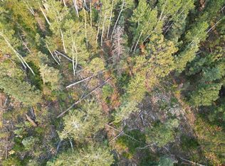 48 Ponderosa Way, Durango, CO 81301