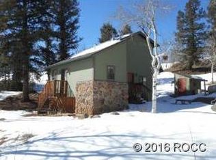 44 Riata Run Rd, Hartsel, CO 80449