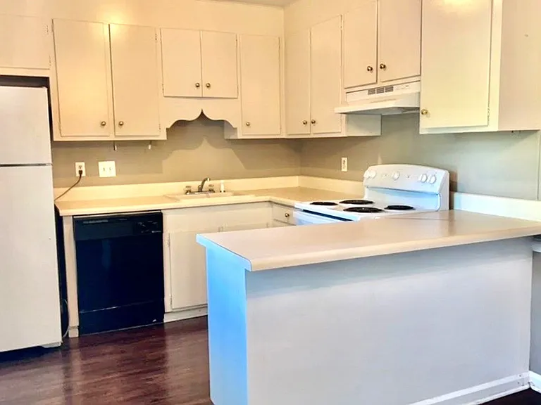 317 E 8th St SW — Photo 3