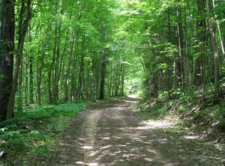 Tbd Skyline Hunters Cabin, Newberry, MI 49868