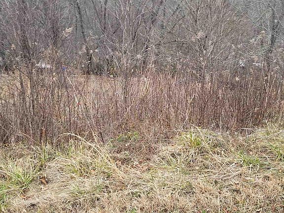 4th image of 138 Road 337
