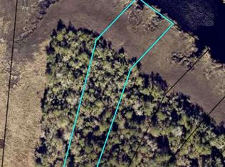 LOT 45 Matthews Launch, White Oak, GA 31568