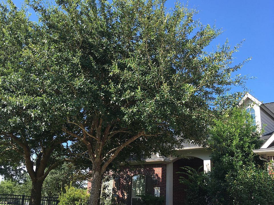 1st image of 5802 Bailey Springs Ct