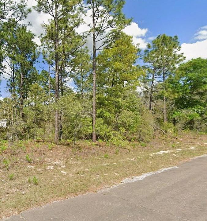 2nd image of 2193 W GALAXY LANE LOT 11