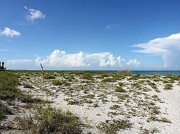 5th image of 864 Golden Beach Blvd #864