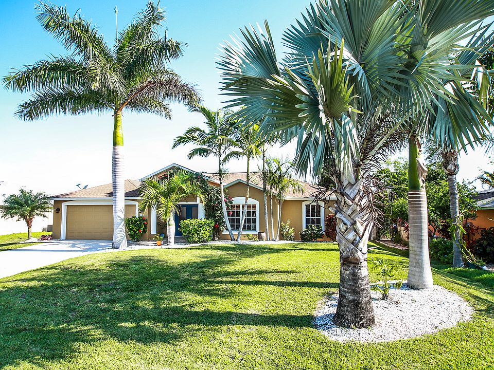 Beautiful mature palms