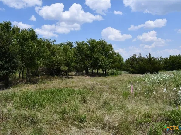 3 Hcr #3363, Mount Calm, TX 76673