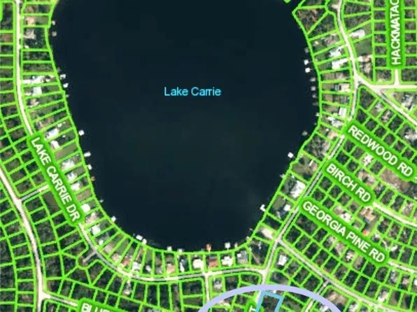 1007 Jonquil St, Lake Placid, FL 33852