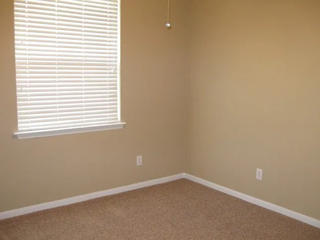 1402 Chandler Cv — Photo 10