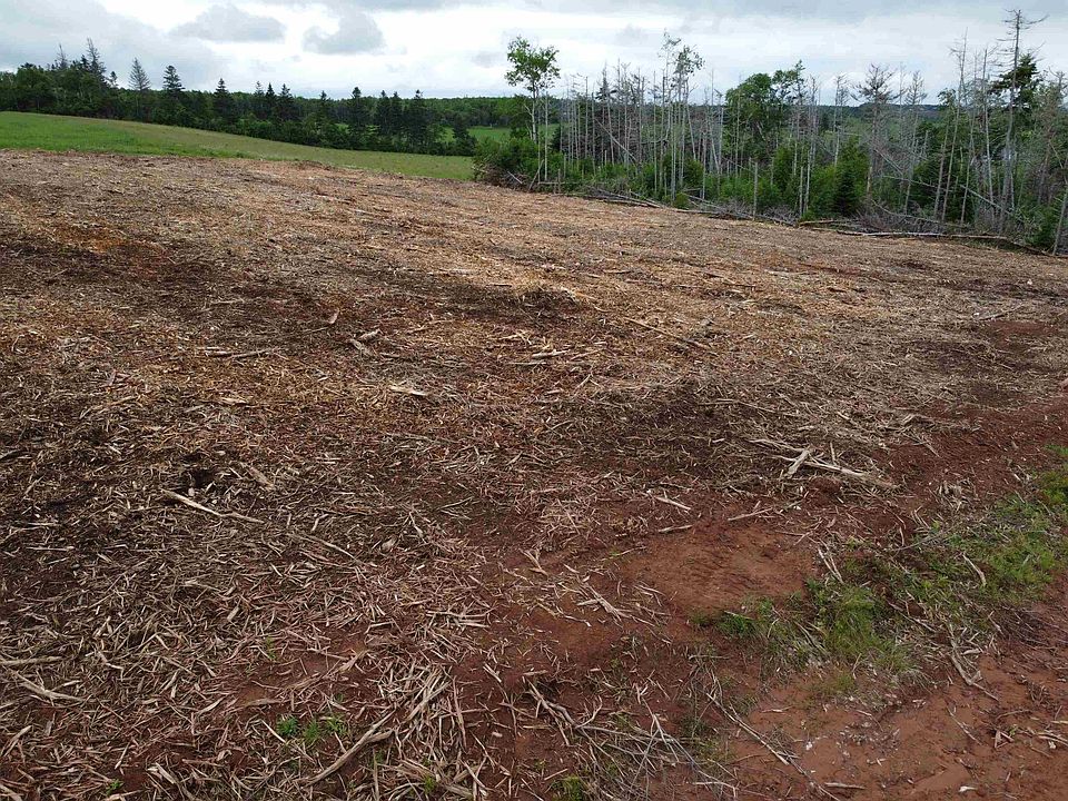 2nd image of LOT 12-12A Cottage Country Ln