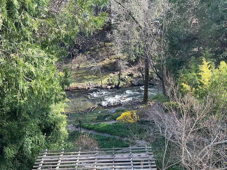 View of creek from upstairs window seat