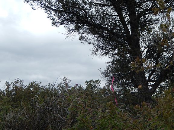 4th image of 1852 N Crystal Dr