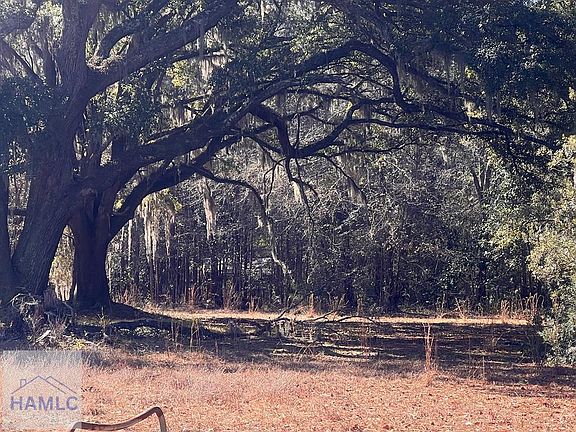 5th image of 145 Cherrie Murrell Rd