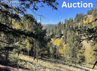 1520&156 Pikes Peak Dr, Divide, CO 80814