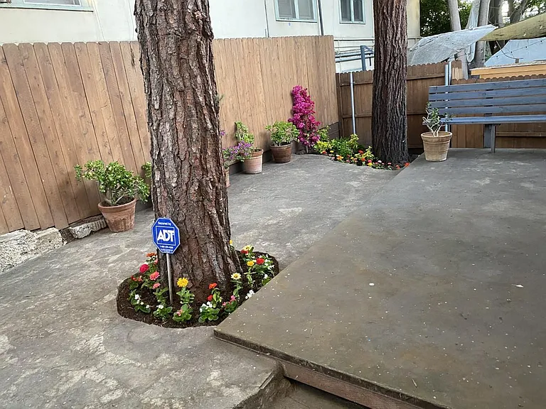 246 Ashland Ave — Photo 11