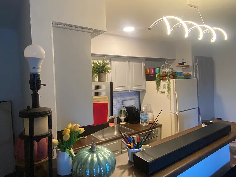 2300 Bamboo Dr #N303 — Photo 3