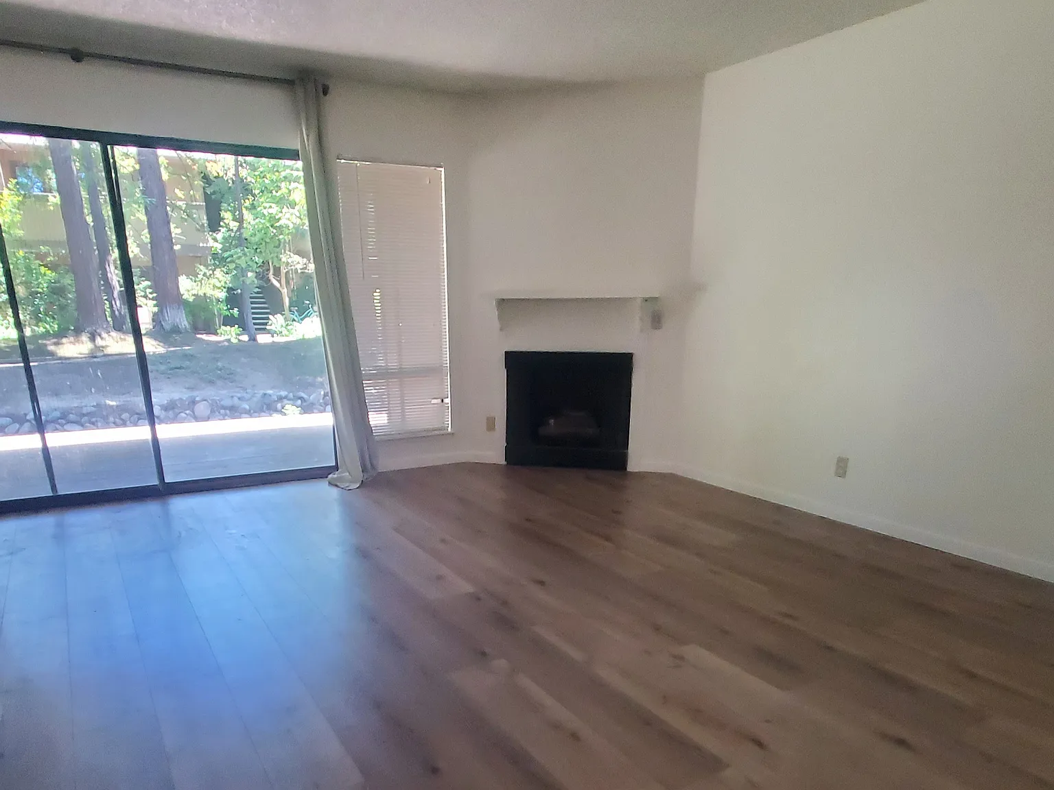 2400 Larkspur Ln — Photo 4