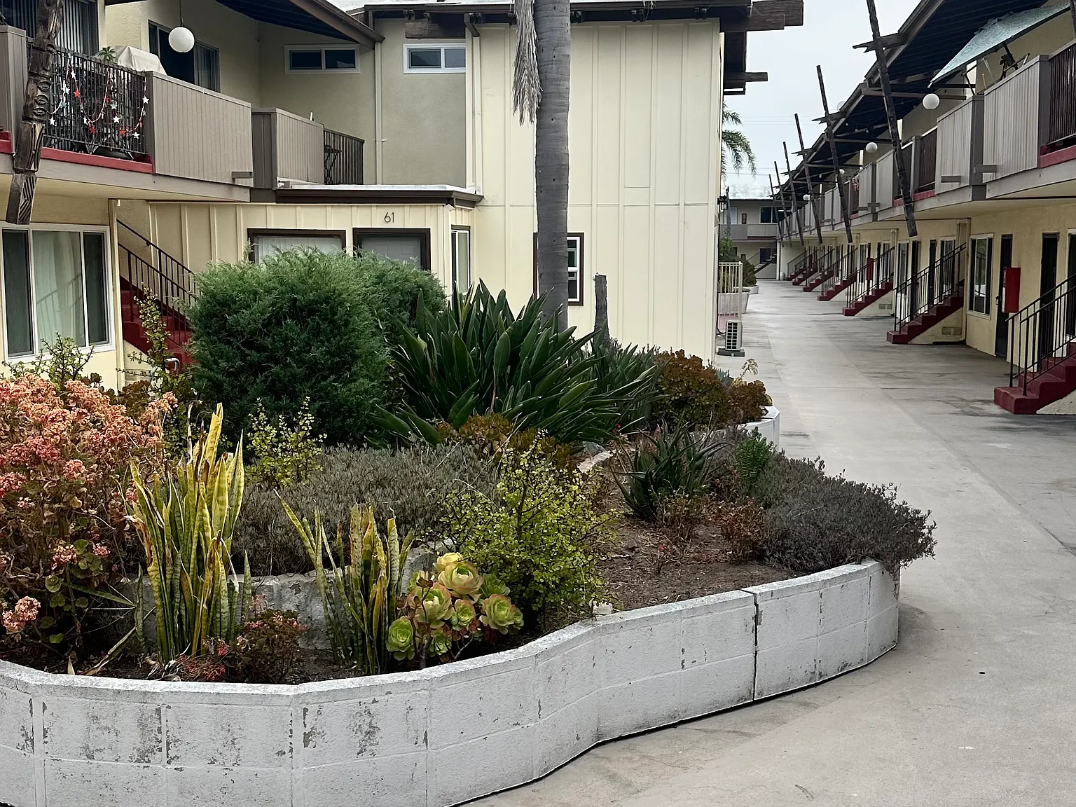 ELI KAI — Photo 1