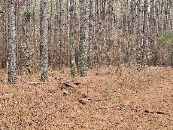 5th image of 498 Gobbler Dr