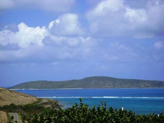 Buck Island