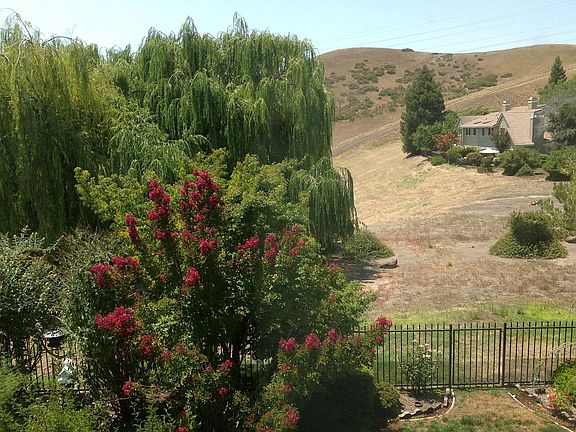 5th image of 356 S Eagle Nest Ln