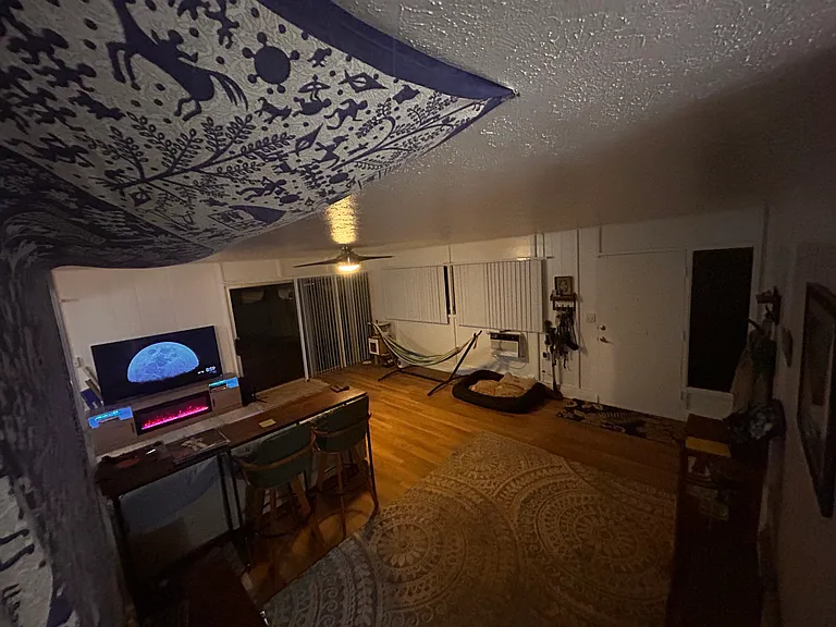 Bittern Ave — Photo 15