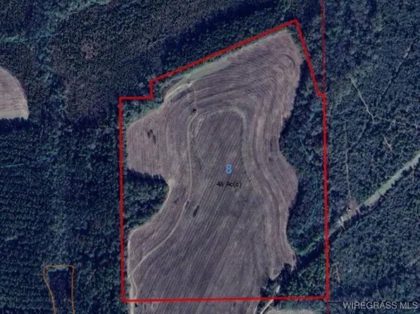 0 Chamblee Rd, Kinston, AL 36453