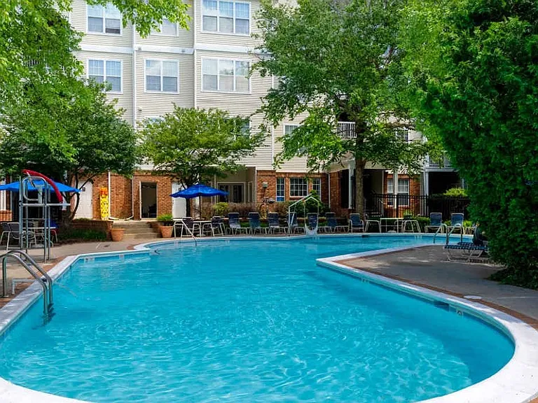 Gorgeous Pool