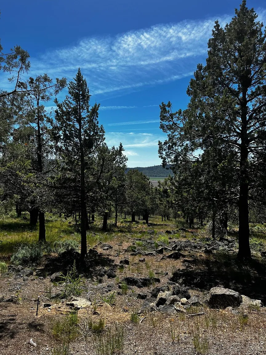 LOT 802 Coopers Hawk Rd photo 1
