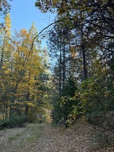 Ernst Rd, Coulterville, CA, 95311