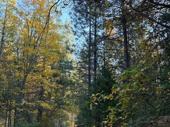 Ernst Rd, Coulterville, CA 95311