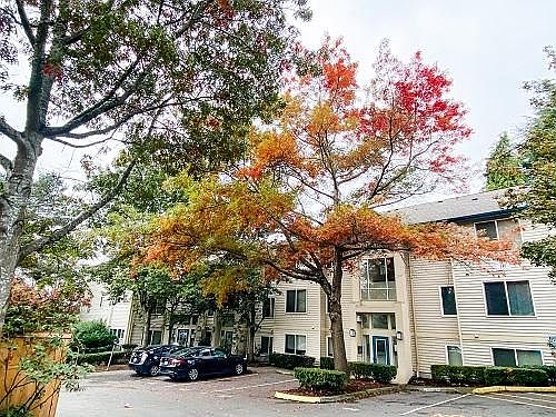 1st image of 515 S 152nd St #324