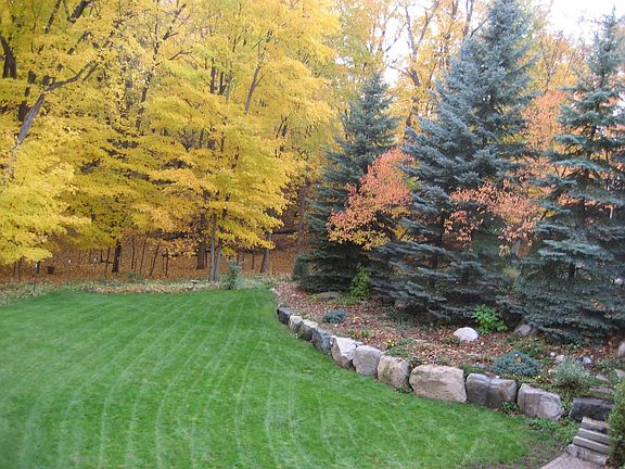 Pine trees, flat yard with woods
